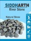 SIDDHARTH FISH FARM AM117 Regular Asymmetrical Sandstone Pebbles (Silver 200 g)