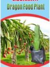 GO7 Dragon Fruit Live Plant Red packet ( 3 ) Plant