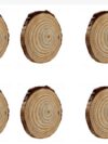 GO7 BIRDBRID Wood Coasters with Holder 4-inch Round Wooden for Glasses, Drinks, and Coffee Table – Non-Slip Pad for Home Office & Christmas Decor pack of 6